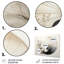Asian Art Seashell Sumi VI - Asian Metal Wall Decor-2109306259