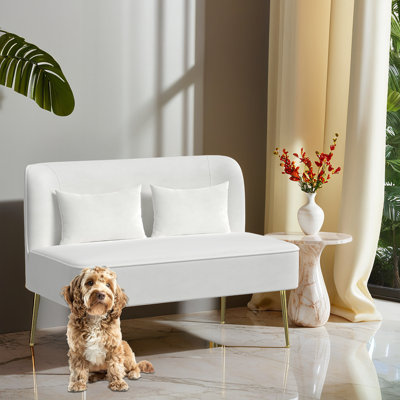 High-end 2-Seater Velvet Loveseat Couch With Pillows For Living Room