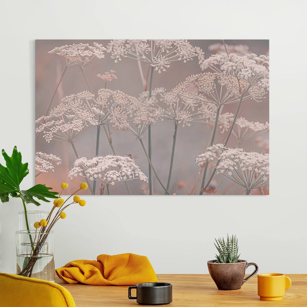 Leinwandbild Wild Umbels