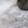 Anandita Abstract Area Rug