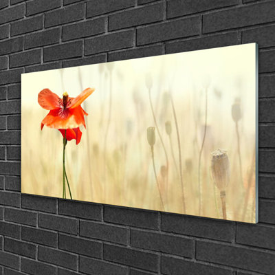 Poppy - No Frame Print on Glass