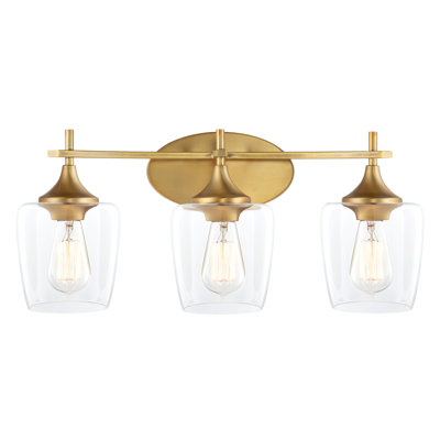 3 - Light Dimmable Vanity Light