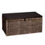 Weyauwega Wicker Trunk