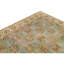 Wool Oriental Indoor Rug
