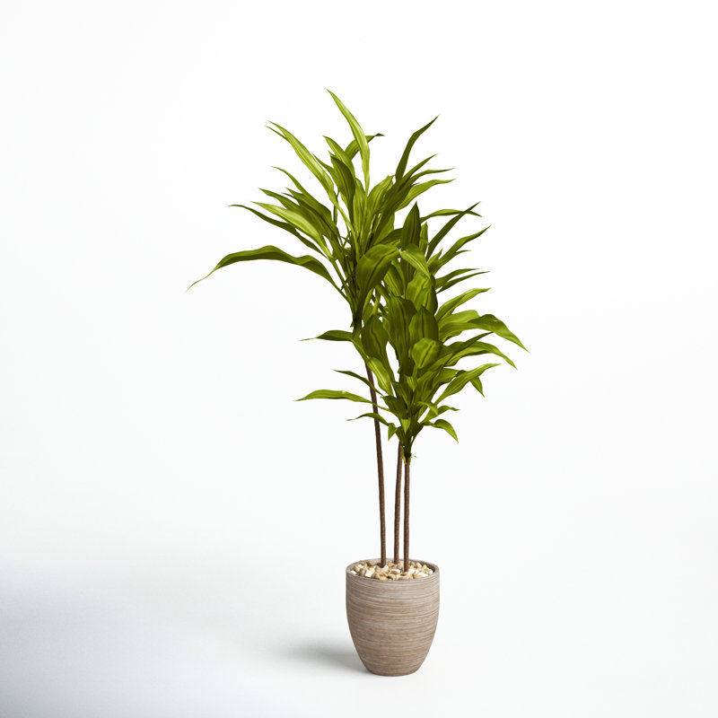 68'' Faux Dracaena Tree in Ceramic Planter