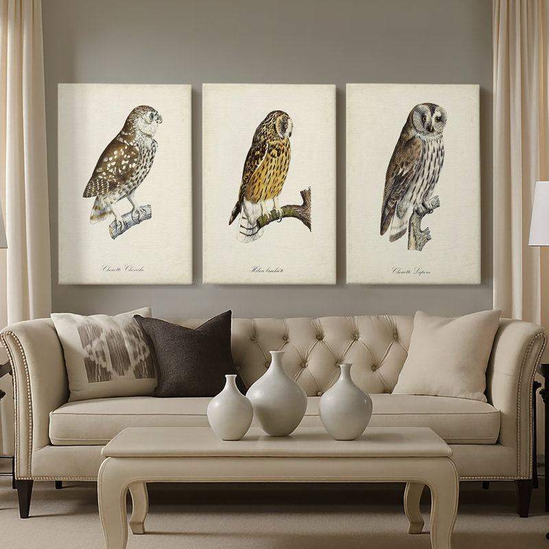 French Owls I - Toile tendue avec châssis sur mesure - 3 pièces, H 27 po x l 54 po