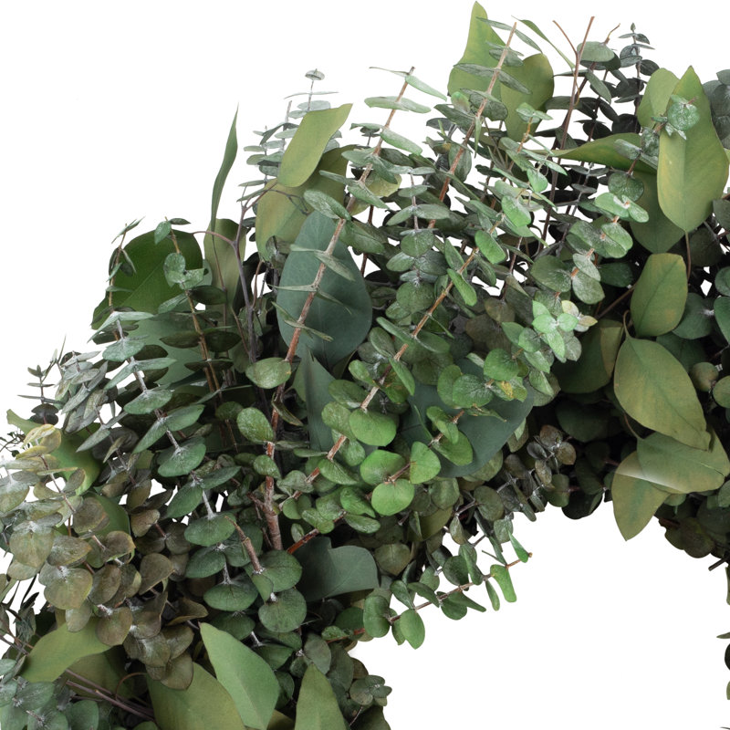 Handcrafted 20'' Green Preserved Eucalyptus Wreath