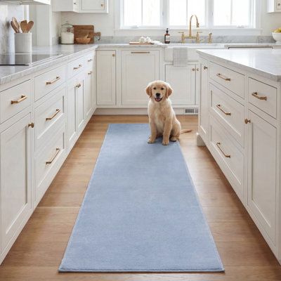 Aldo Solid Color Machine Woven Polyester Area Rug in Light Blue
