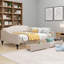 Tufted Wingback Silhouette Upholstered Full Size Daybed With Two Integrated Storage Drawers, Warm Beige