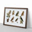 Owl Illustrations by Von Wright - Picture Frame Painting Print on MDF-55578110-55578111