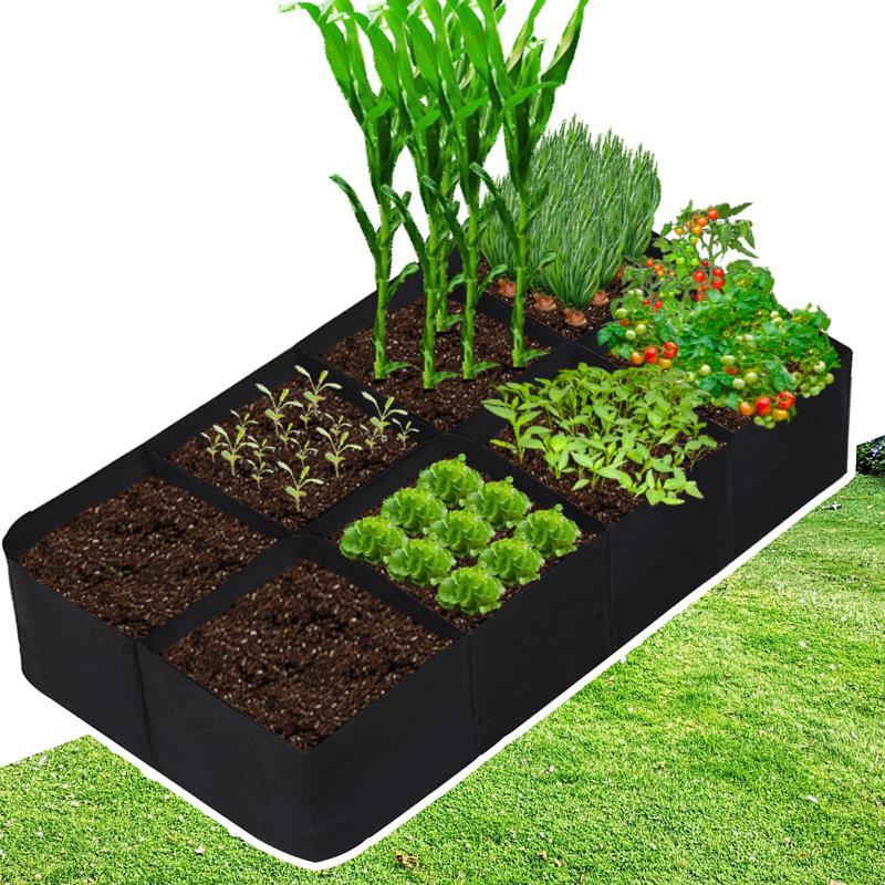 Fabric Raised Garden Bed 6x3x1ft Garden Grow Bed Bags For Growing Herbs, Flowers And Vegetables 128 Gallon