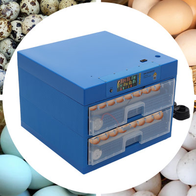 Incubateur de 128 œufs