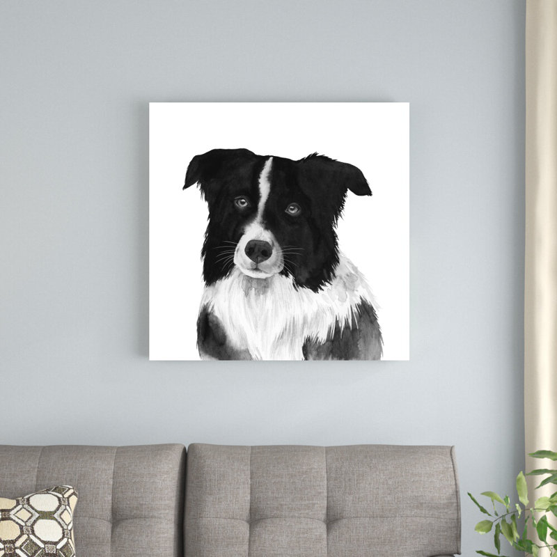 Border collie II, H 30 po x l 30 po