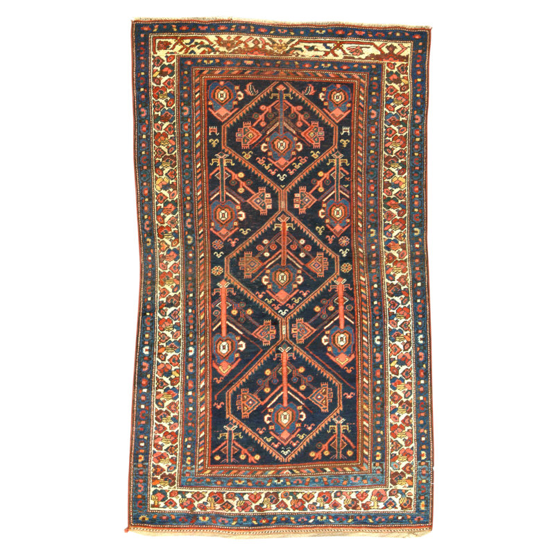 Hand Knotted Cotton Area Rug in Navy And Ivory