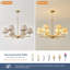 6 - Light Chandelier