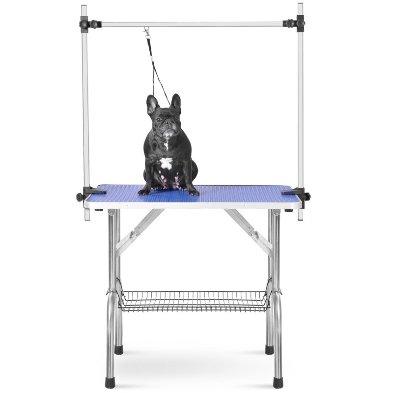 Table de toilettage pour animaux avec pattes pliantes, Bleu, H 30 po x l 36 po x P 24 po