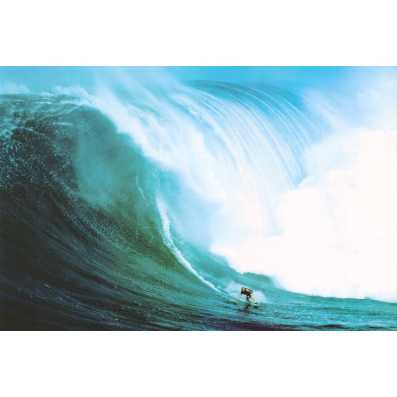 Rair Giants - Laird Hamilton IMP-ST4150R, H 16 po x l 24 po