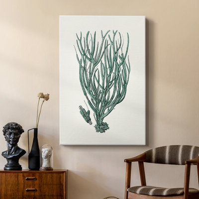 Corail antique antique - galerie Cavas sur mesure