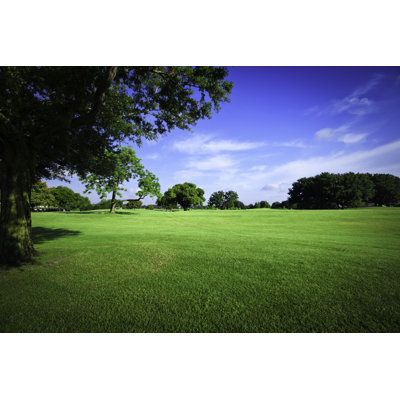 Terrains de golf d'Apomares