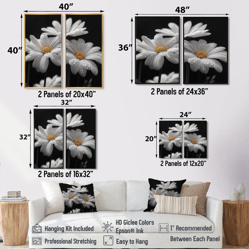Monochromes noir et blanc Bliss Daisy Photo III - art mural blanc 2 pièces, 32" H x 32" W, Wrapped Canvas, Does Not Apply