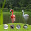 Flamant rouge flottant et blanc