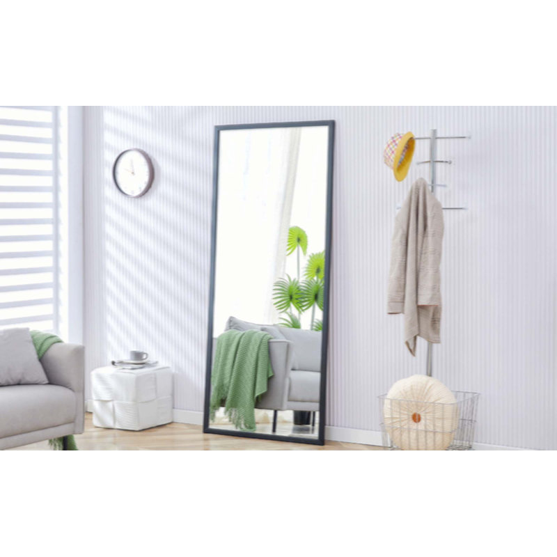 Campeaux Rectangular Plane Mirror, Gray, 65.02" x 31.5"