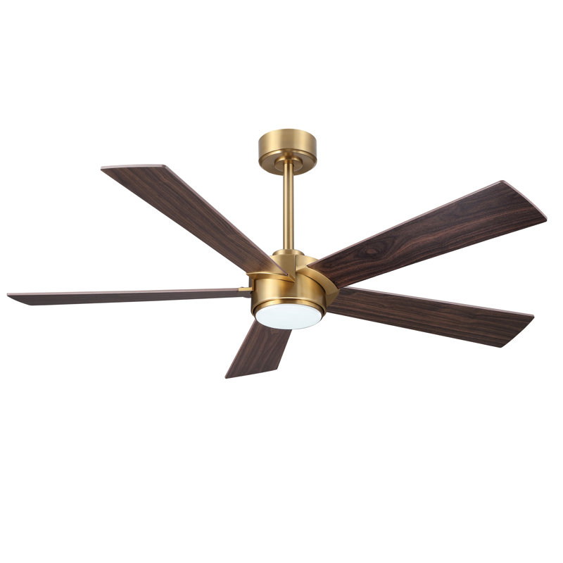 5 Blades Indoor Ceiling Fan With Light Kit And Remote, 54", Gold with Brown Blades