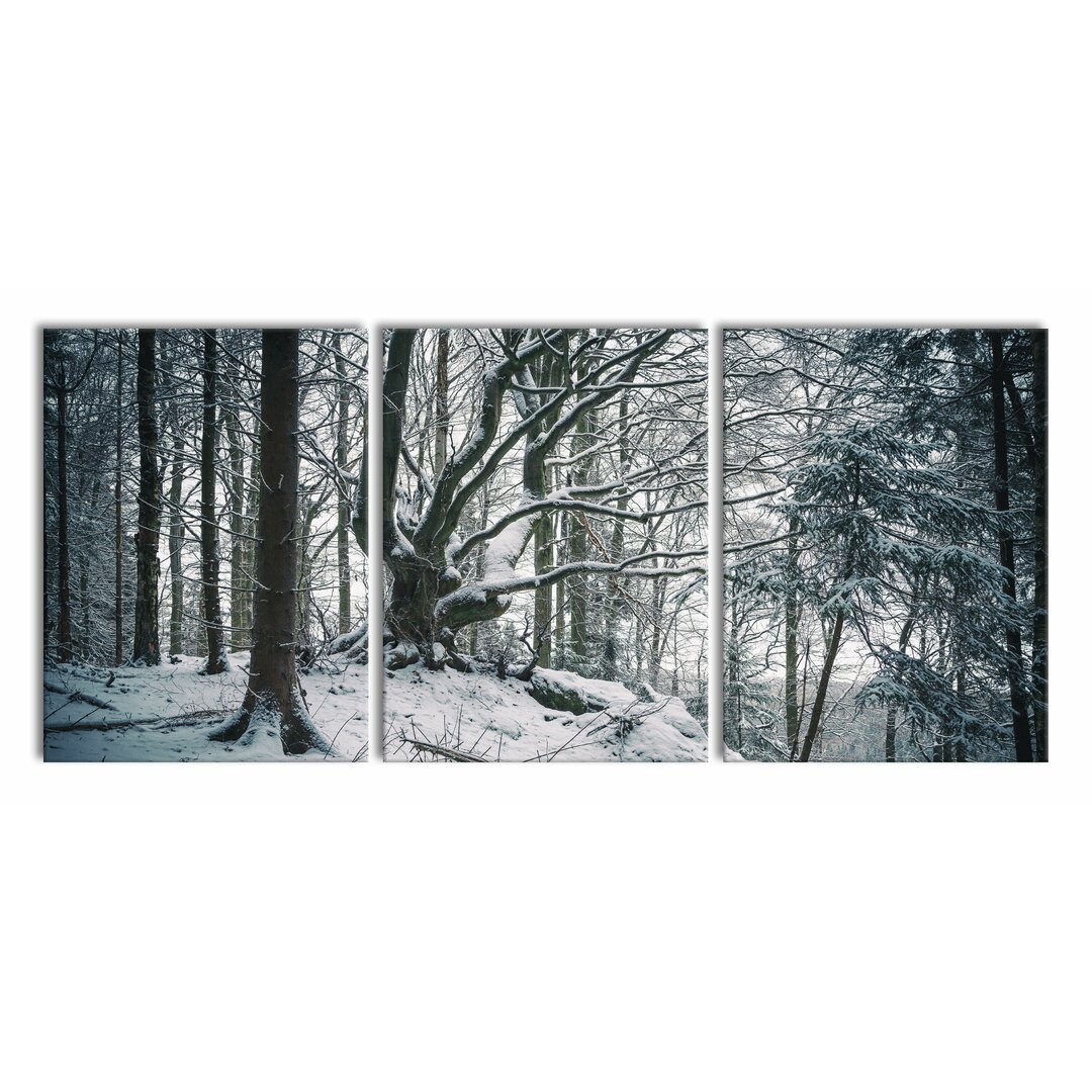 3-tlg. Leinwandbilder-Set Wald mit Schnee bedeckt