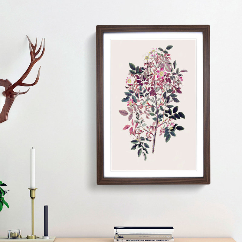 Redleaf Rose Flowers Illustration - Picture Frame Painting Print, Walnut Framed, 65cm H x 48cm W x 2cm D