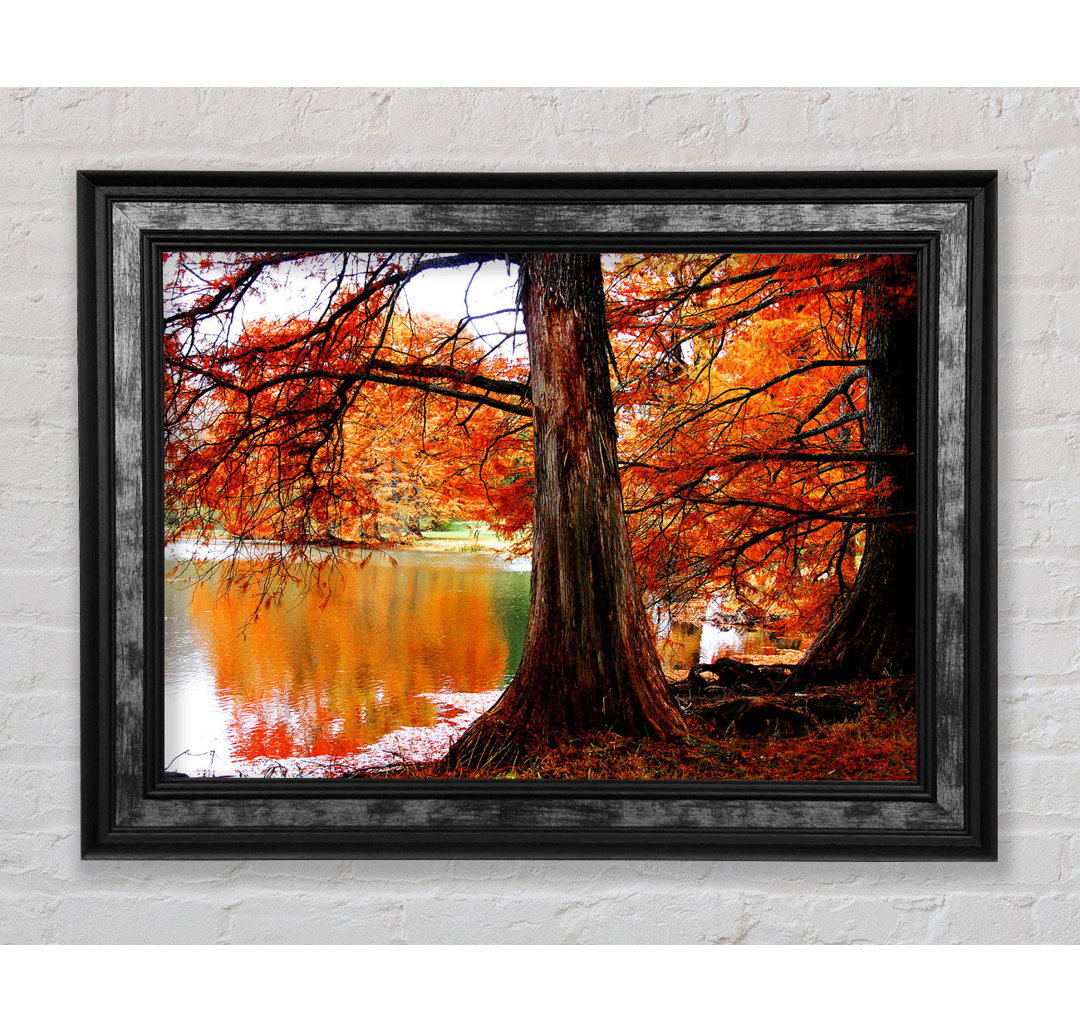 Herbst Orange River Reflections - Einzelne Bilderrahmen Kunstdrucke