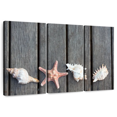 Aletra Sea Surprises