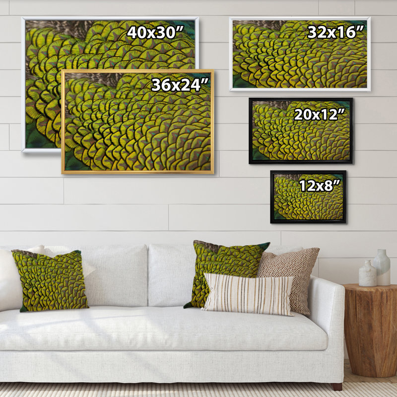 Green Peacock Feathers II - Print on Canvas, 12" H x 20" W x 1" D, Black Floater Frame