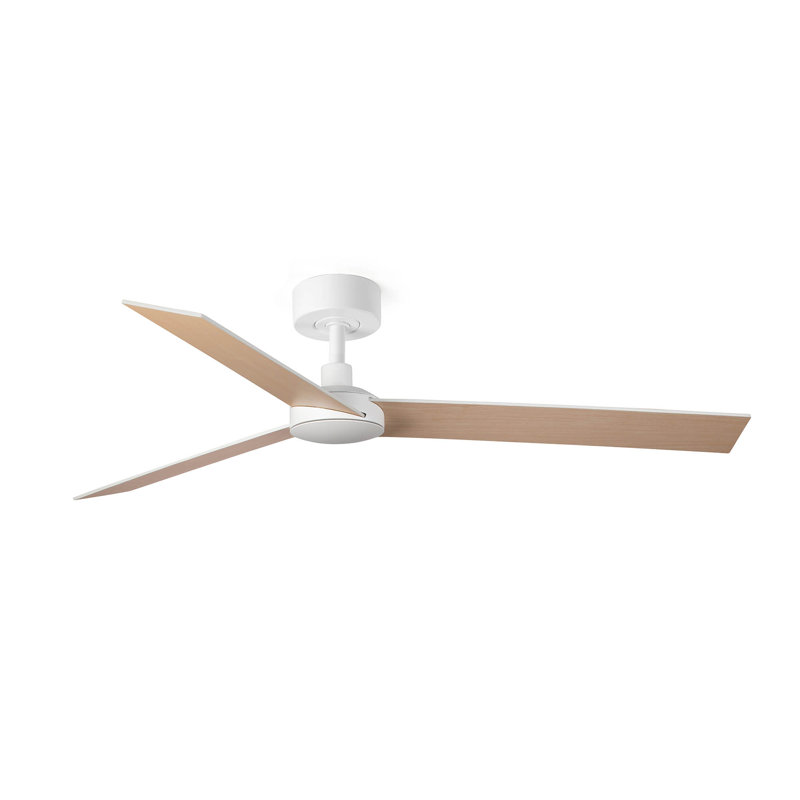 Rudder L Fan, Bois de frêne, Blanc