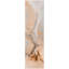 Tapis de couloir d'extérieur 8 po