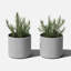 Petit pot à fleurs Veradek Mod Series-126194086-126194088-126194090