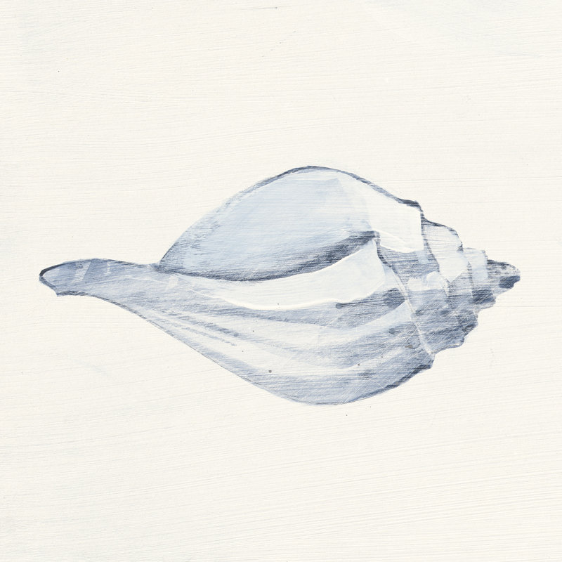 Conch by Avery Tillmon - Wrapped Canvas Painting, 51cm H x 51cm W