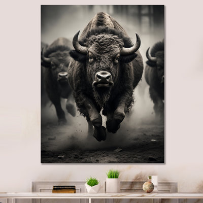 Bison Harmony In Motion - Animaux, reproduction sur toile