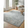 Cambridge Oriental Area Rug in Blue