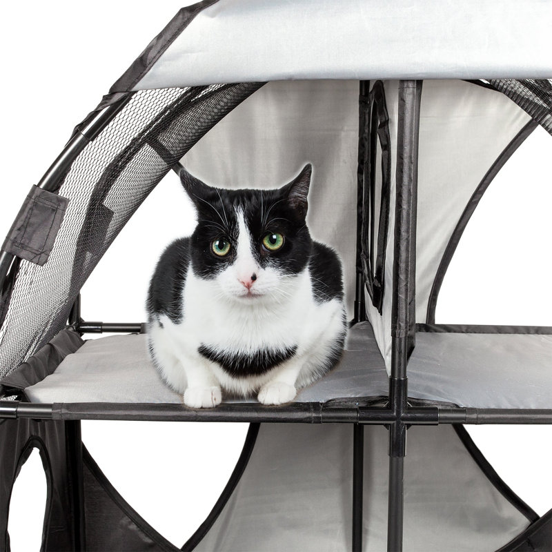 Lit pour chat Novelty, gris