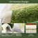 Tapis de bain Christmas Tree