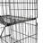 Picrin 18.89'' W Iron Shelving Unit with Wheels-1709938752