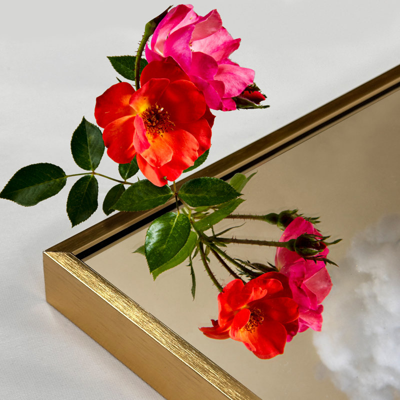 Arch Metal Arch Wall Mirror, 30" x 20", Gold