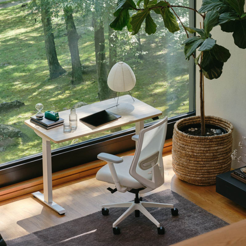 Ergonomic Chair Pro, Shore, White