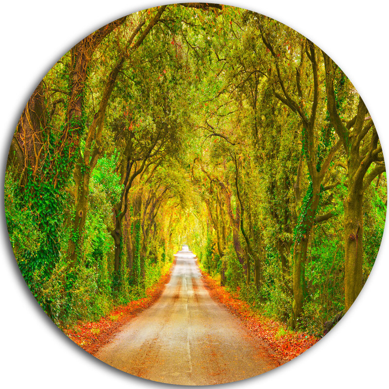 «Fall Greenery and Road Straight Ahead», impression, H 23 po x l 23 po x P 1 po, Métal