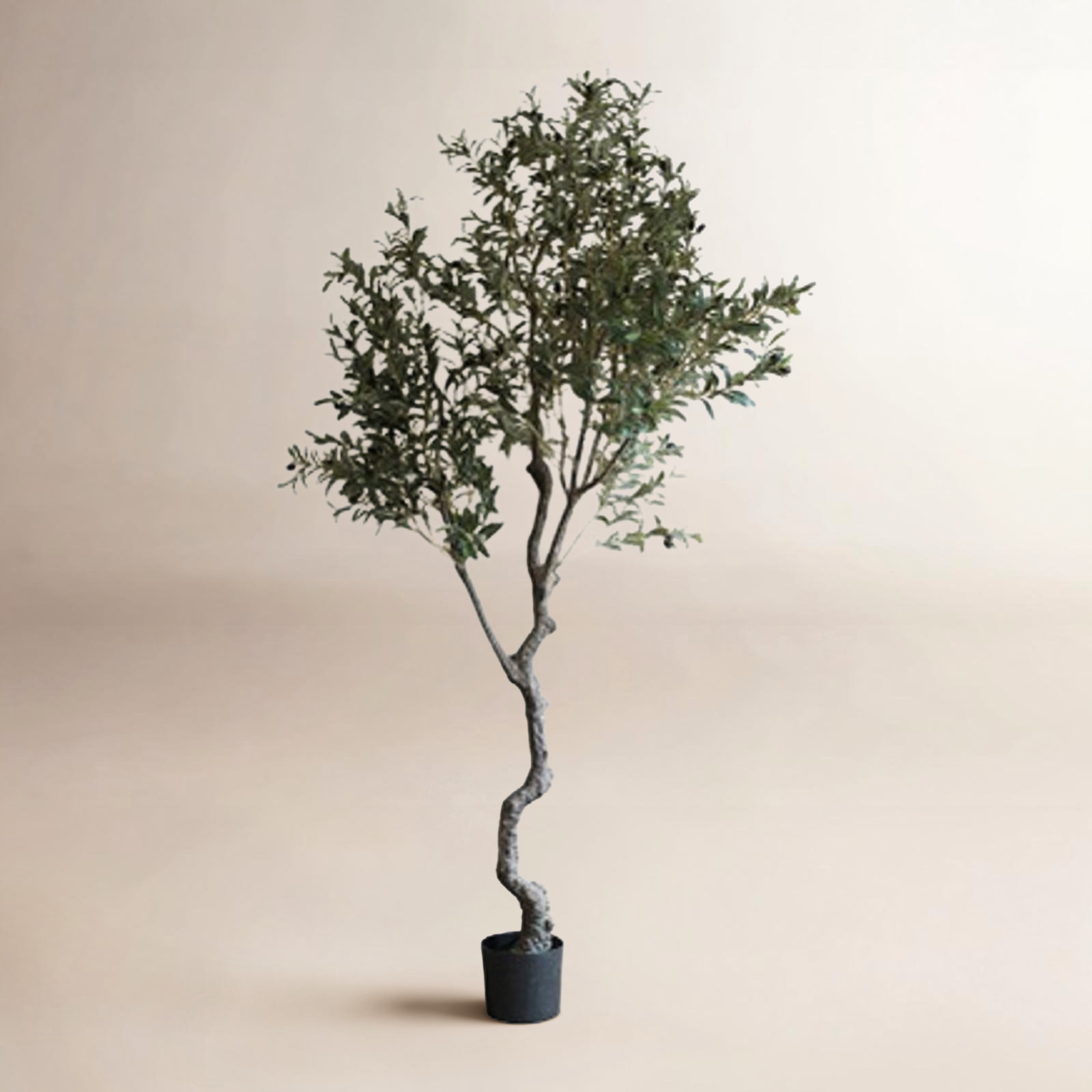 94.5 " Olive Tree with Base Included