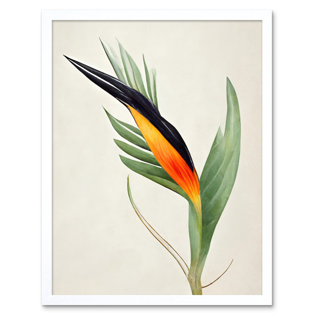 Tropical Bird Of Paradise Flower - Print