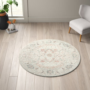 Hagood Oriental Area Rug in Ivory/Gray/Pink