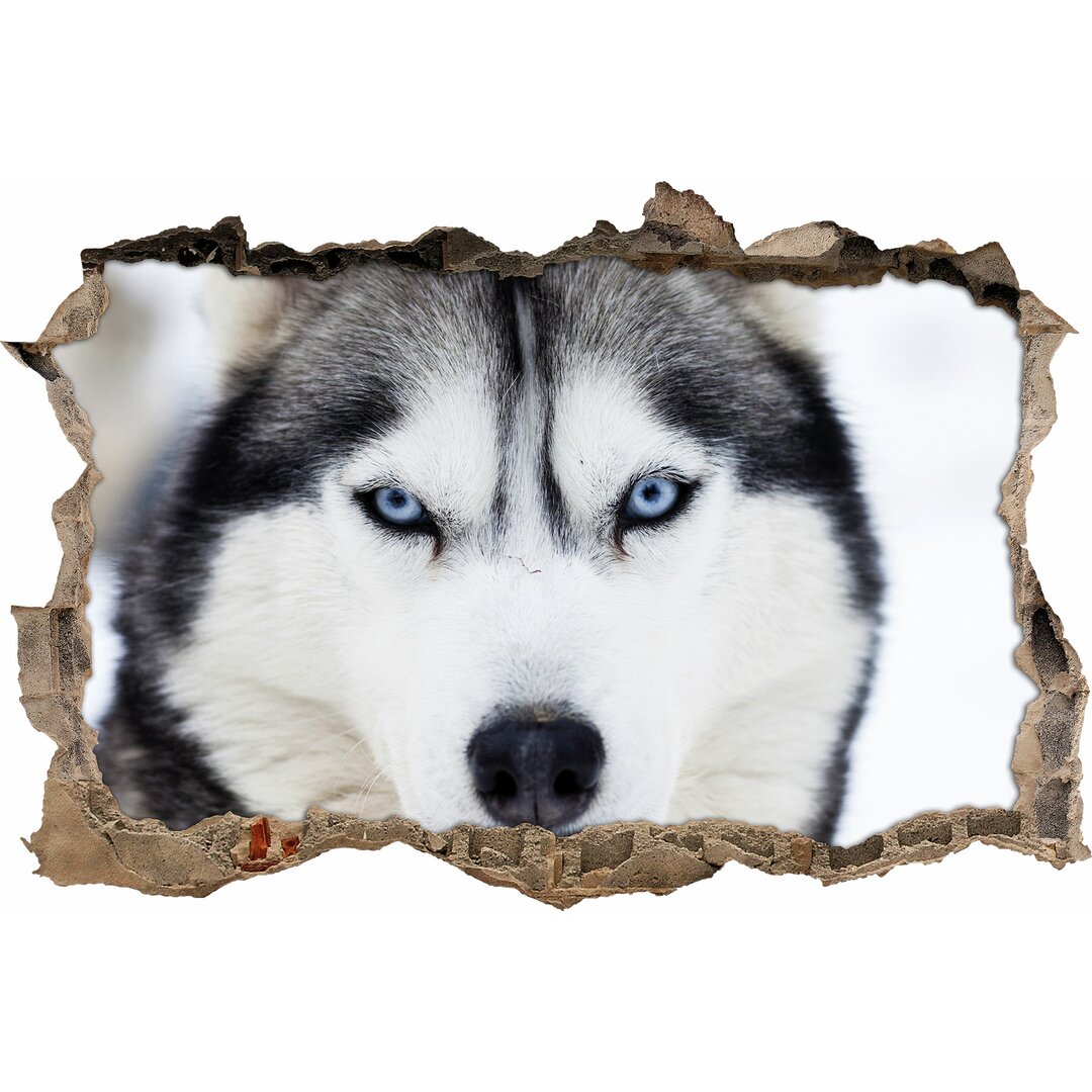 Wandtattoo Niedlicher Husky Hund