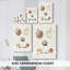 Pastel Knorr Shells de la collection Pastel-850168319