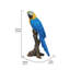 Statue de perroquet sur branche-1624689208
